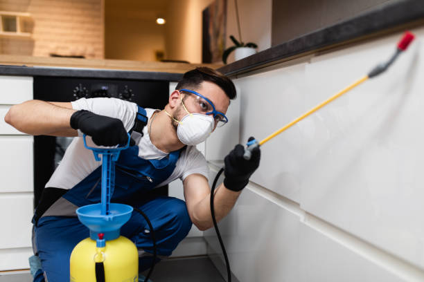 Best Commercial Pest Control Services  in Soh Salt Lake, UT