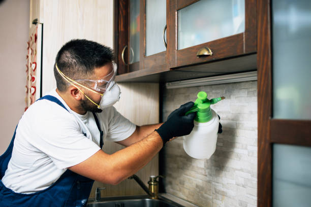 Best Best Pest Control Companies  in Soh Salt Lake, UT
