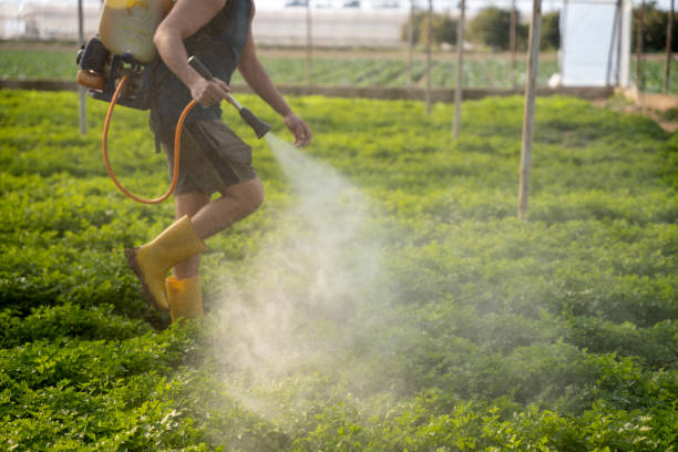 Best Best Pest Control Companies  in Soh Salt Lake, UT