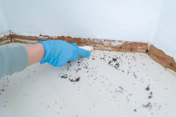 Best Exterminator Services  in Soh Salt Lake, UT