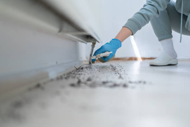 Professional Pest Control in South Salt Lake, UT